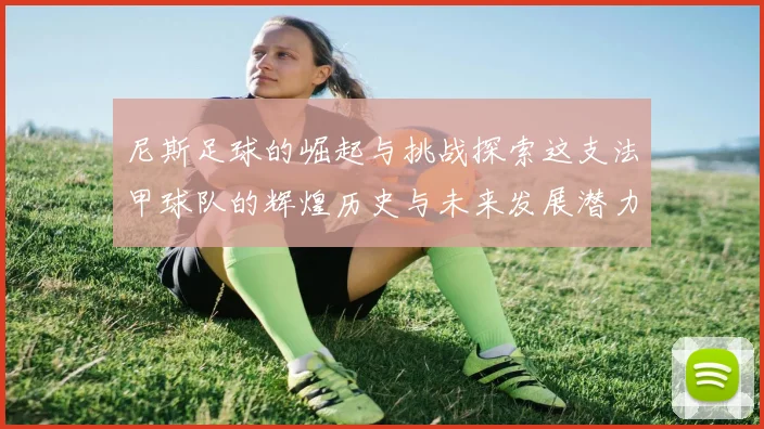 尼斯足球的崛起与挑战探索这支法甲球队的辉煌历史与未来发展潜力