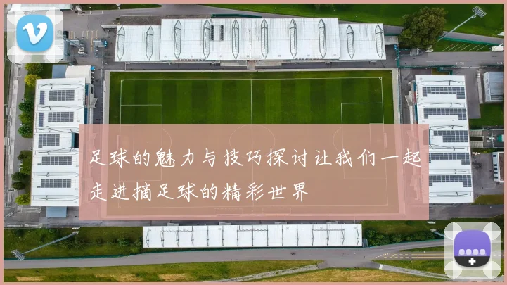 足球的魅力与技巧探讨让我们一起走进摘足球的精彩世界