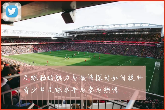 足球勒的魅力与激情探讨如何提升青少年足球水平与参与热情