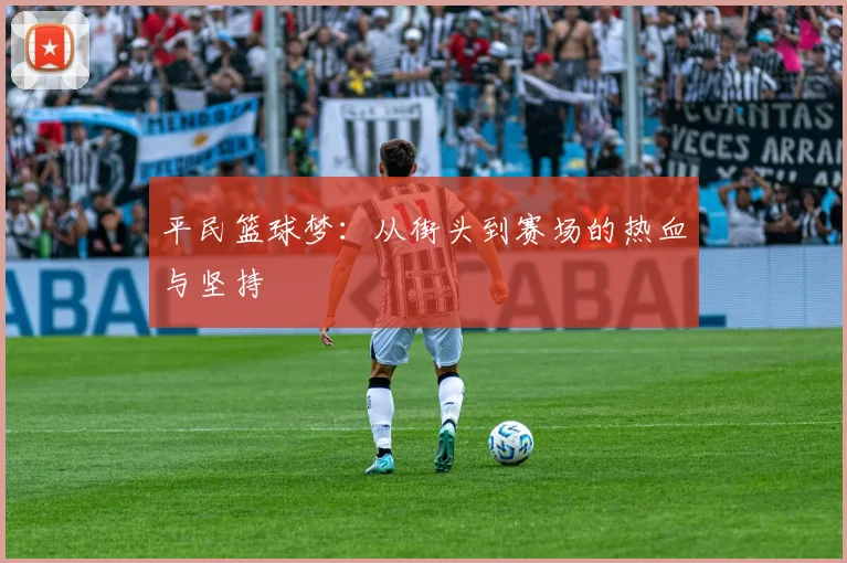 平民篮球梦：从街头到赛场的热血与坚持