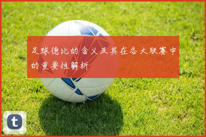 足球德比的含义及其在各大联赛中的重要性解析